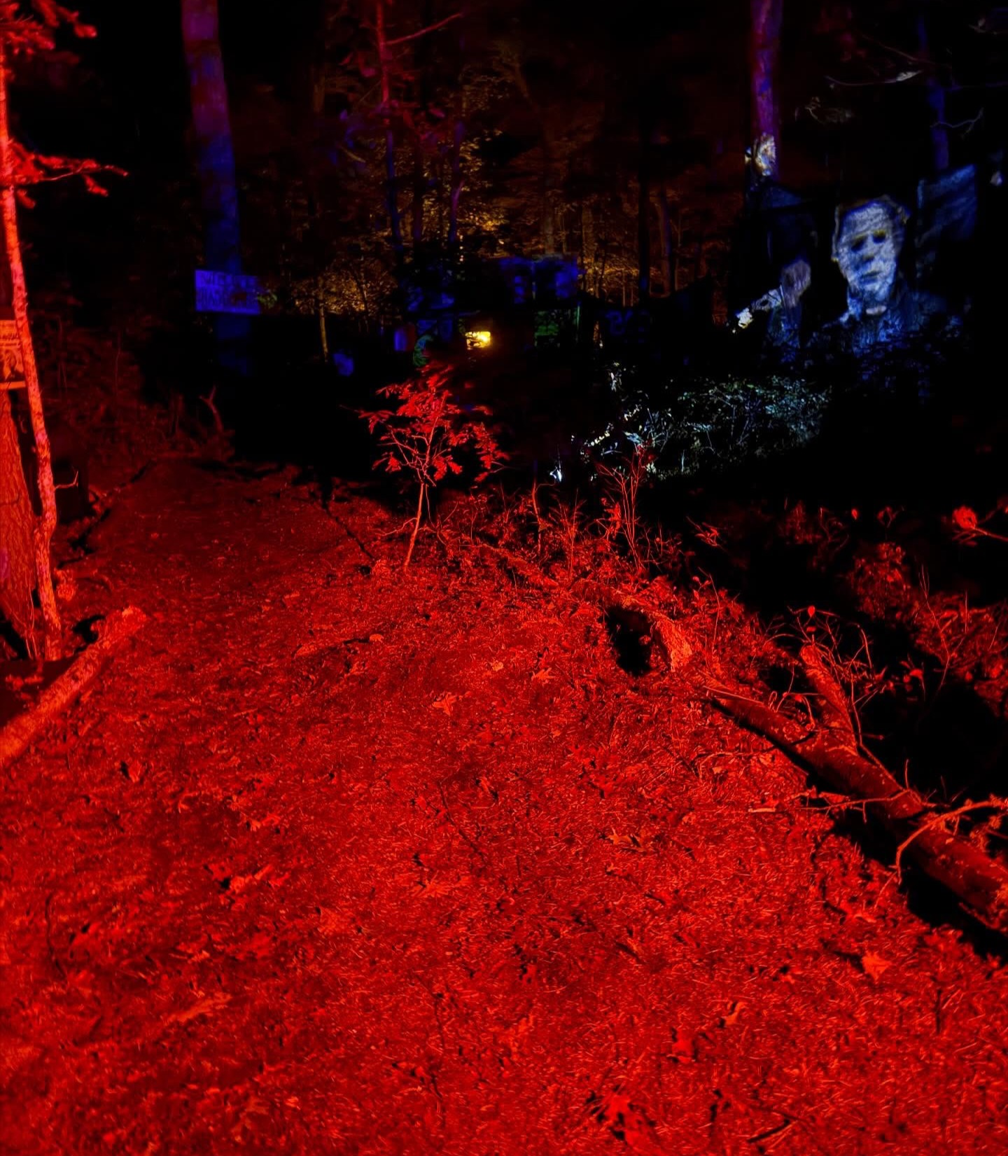 Tiverton Terrors cast on the trail at night